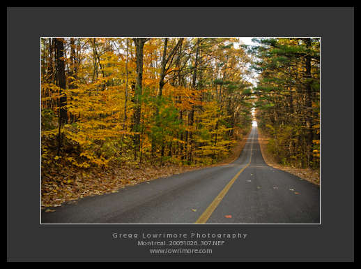 Montreal 307 Road to No Where, Montreal, Fall of 2009